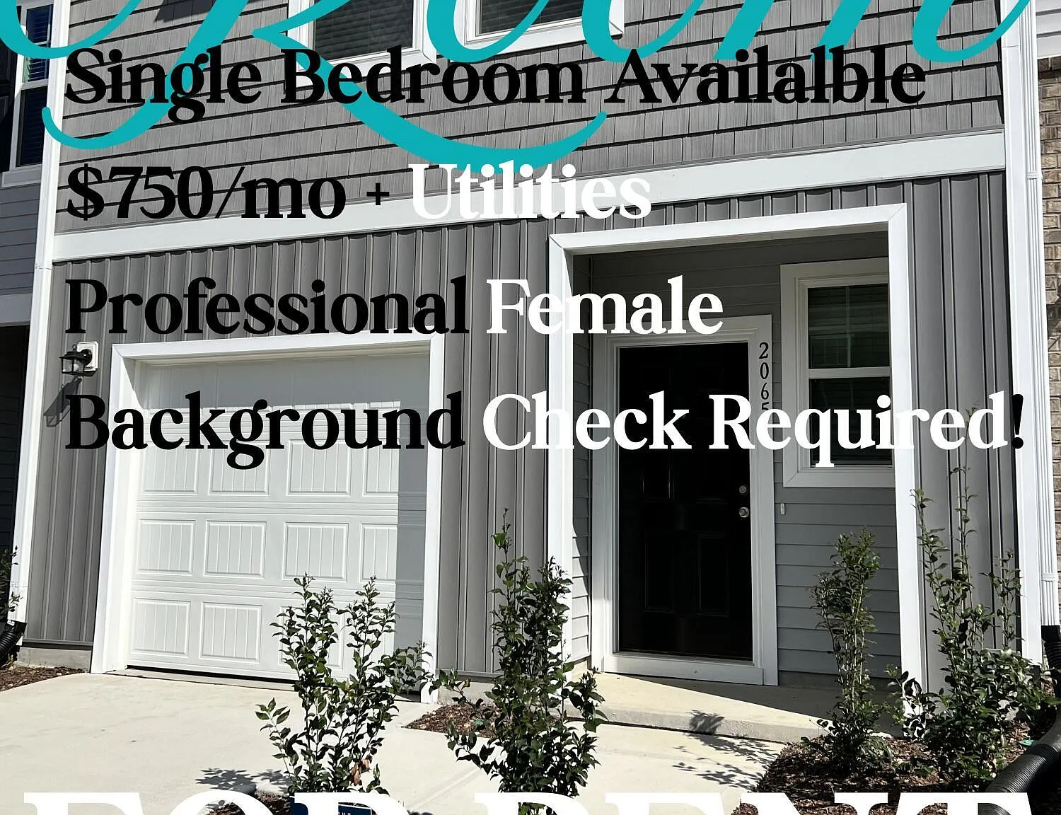1 bed, 1.5 bath, $800 — Photo 1