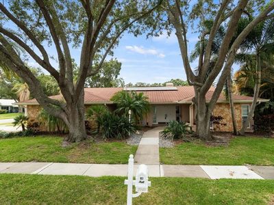 2040 Egret Dr, Palm Harbor, FL, 34683