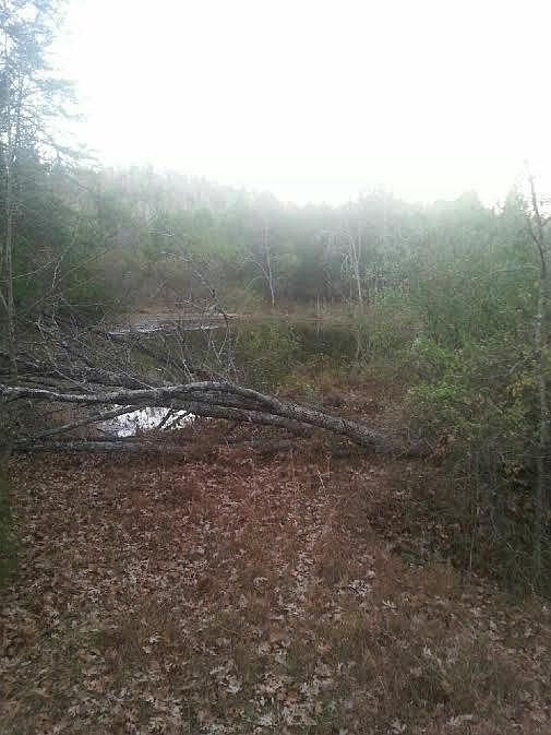2nd image of Tract 8 Roy Hays Way