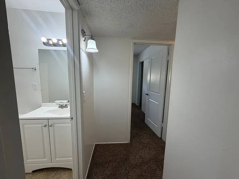 2950 N Alvernon Way #10103 — Photo 15