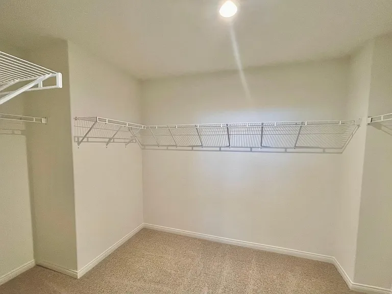20011 Lemonscent Dr — Photo 10