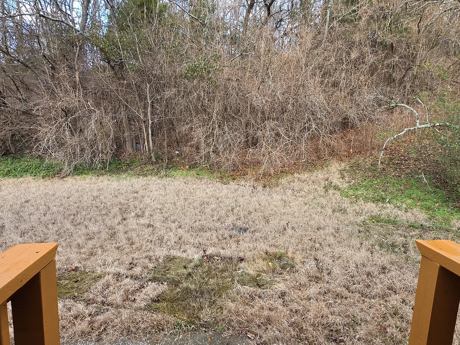 2323 Ilolo Street - 1 — Photo 3