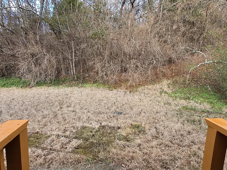 2323 Ilolo St #1 — Photo 3