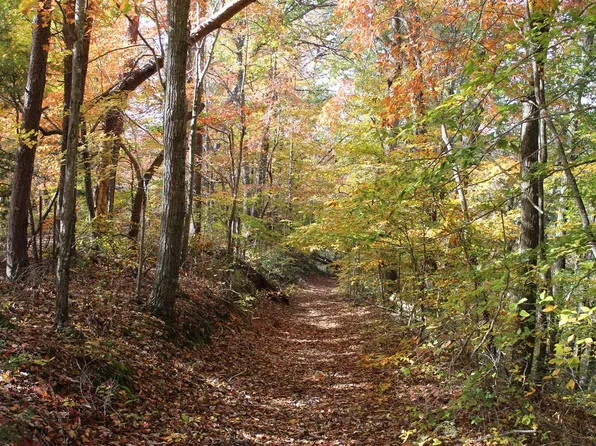 1 Gosser Ridge Spur, Russell Springs, KY 42642