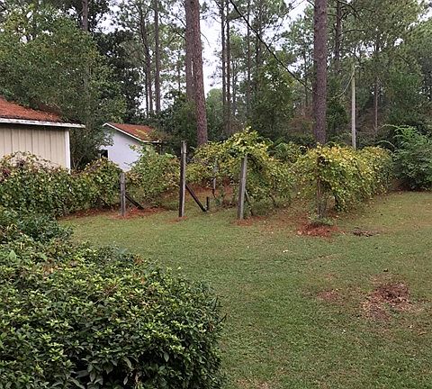 5th image of 309 Touchton Dr