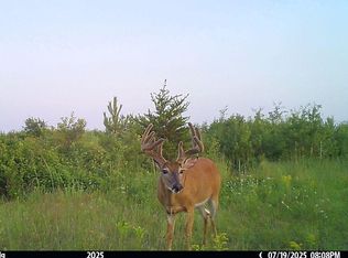 110th St, Menahga, MN 56464