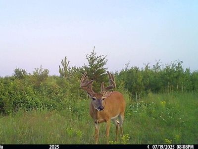 110th St, Menahga, MN, 56464