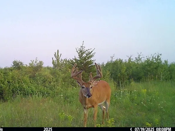 110th St, Menahga, MN 56464