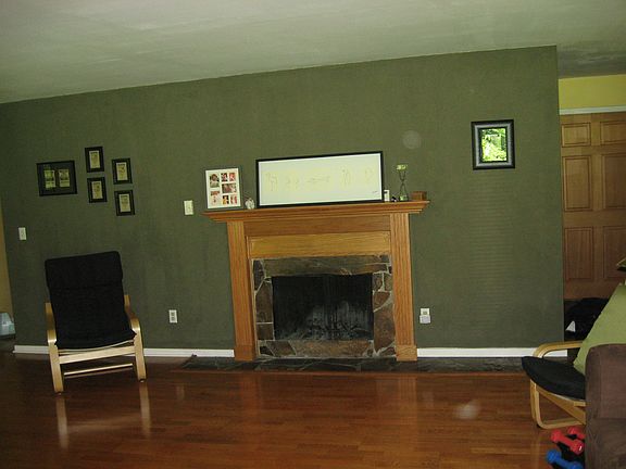 Living Room / Fireplace