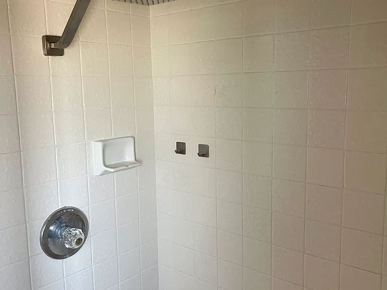 Rain shower head in Primary suite bathroom