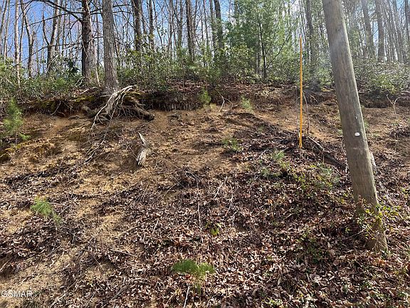 5th image of Lots 55 54 71 Yellowwood Dr