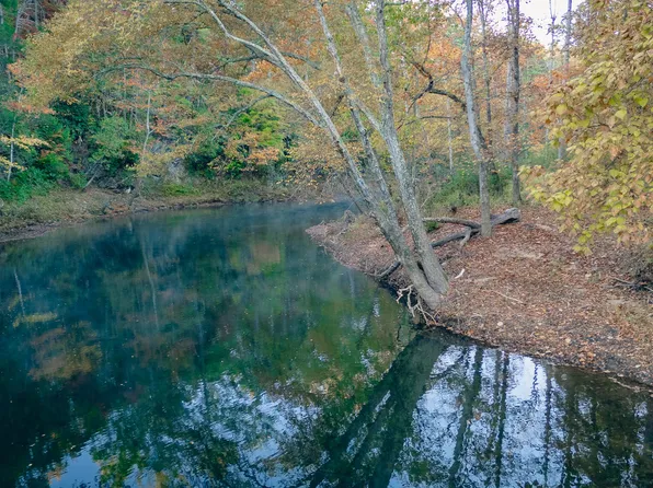 Craigs Creek Rd, Eagle Rock, VA 24085