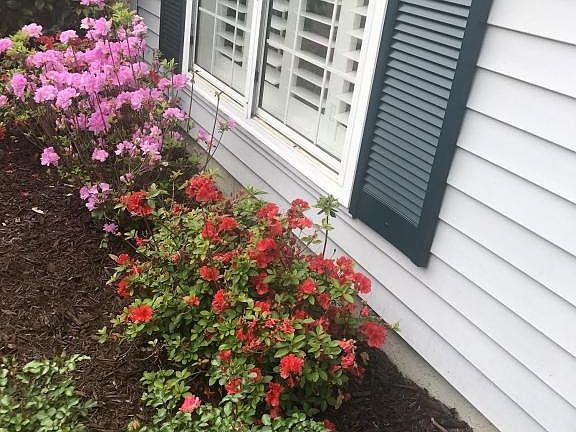 Stop and Smell the Roses