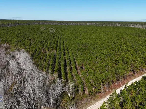 Owens Rd, Odum, GA 31555