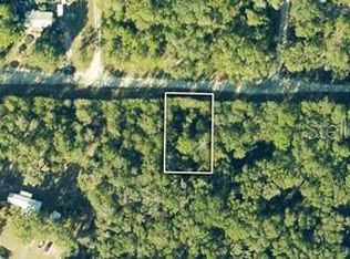 NE 230th St LOT 11, Fort Mc Coy, FL 32134
