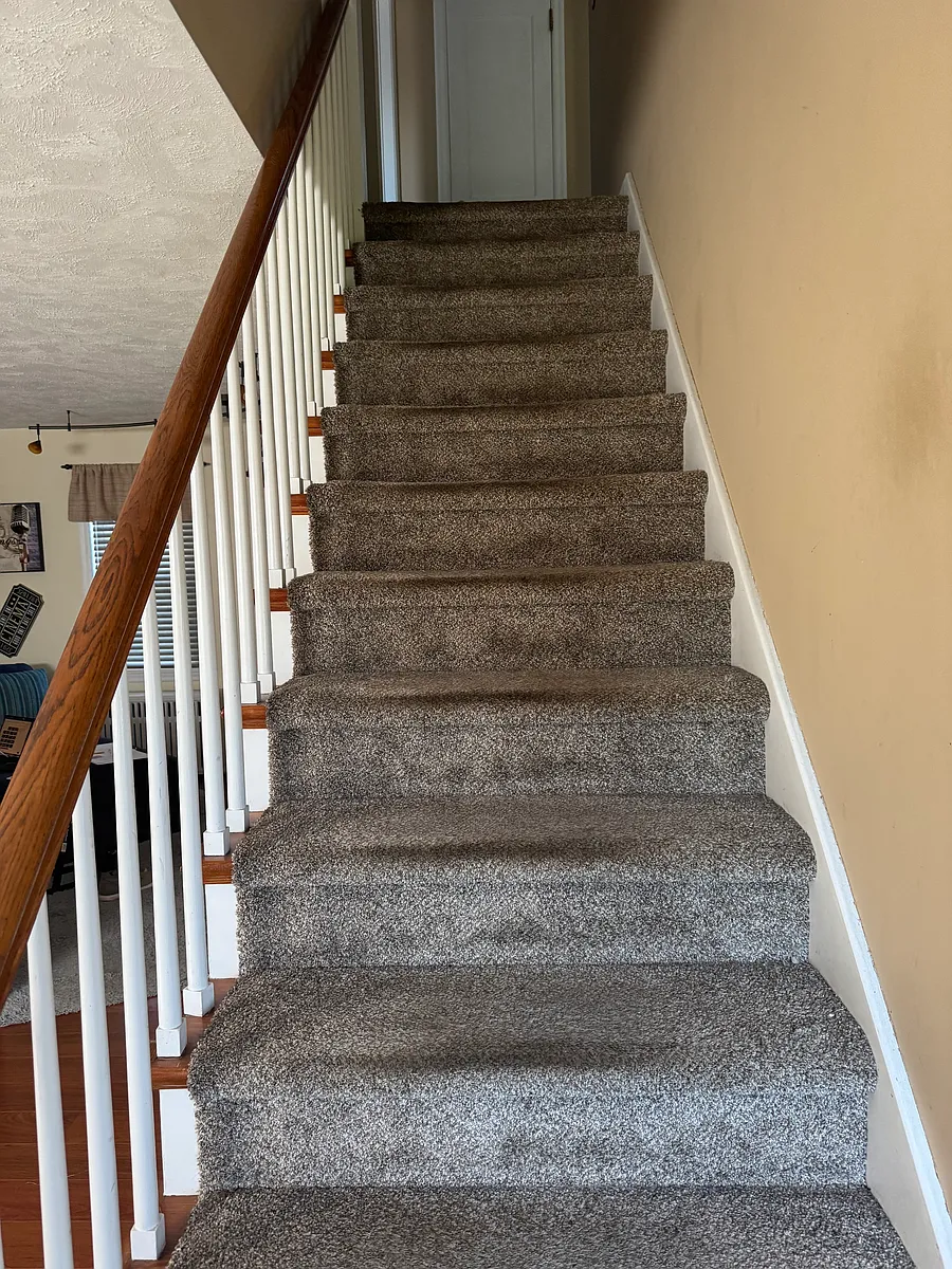 Stairs leading in from front door to upstairs bedrooms and 2nd floor bath. - 465 Highland Ave