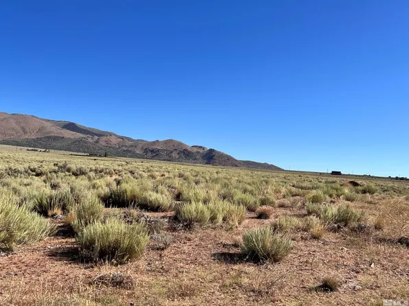 4600 Bosler Way, Wellington, NV 89444
