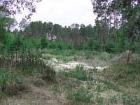1st image of 3000 Leprechaun Ln