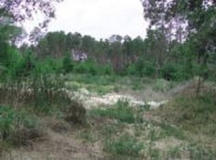 3000 Leprechaun Ln, Palm Harbor, FL 34683