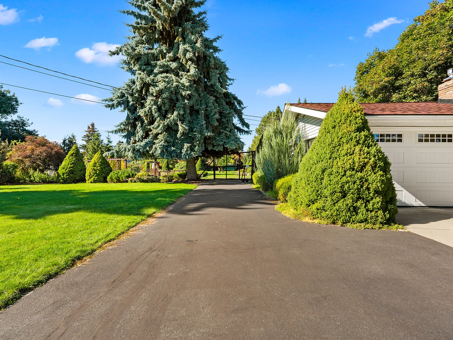 3 bed, 2400 sqft, $5,500 — Photo 3