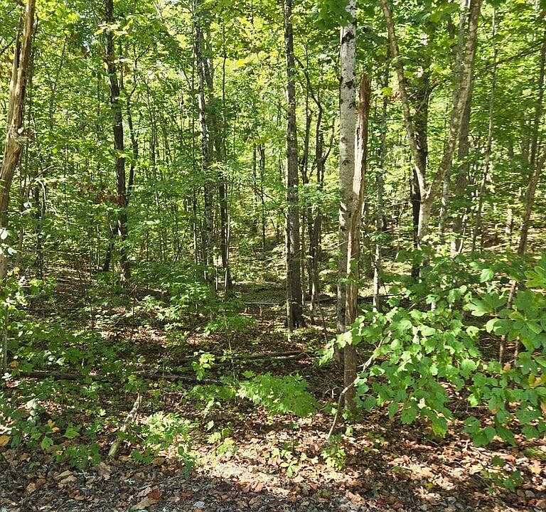 2nd image of 0 Raven Cliff Rd