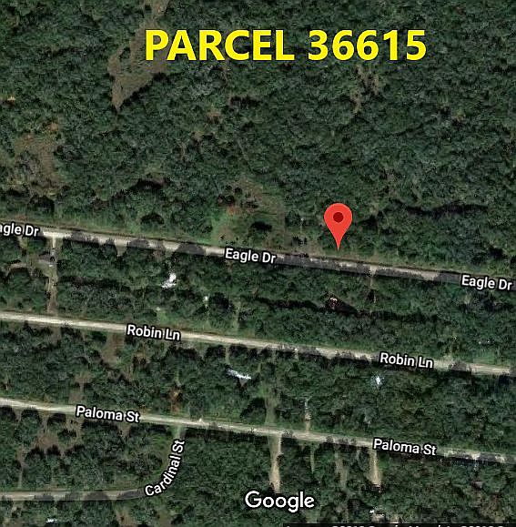 1st image of Eagle Dr