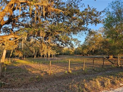 463 Sheppard Rd, Venus, FL, 33960