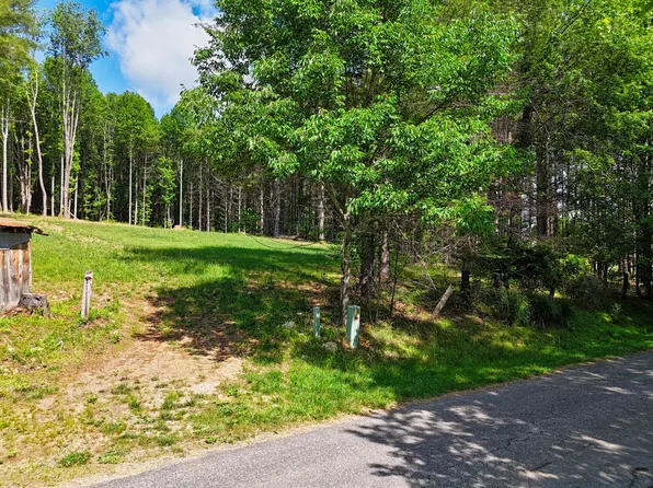 Dogwood Ln SW, Willis, VA 24380