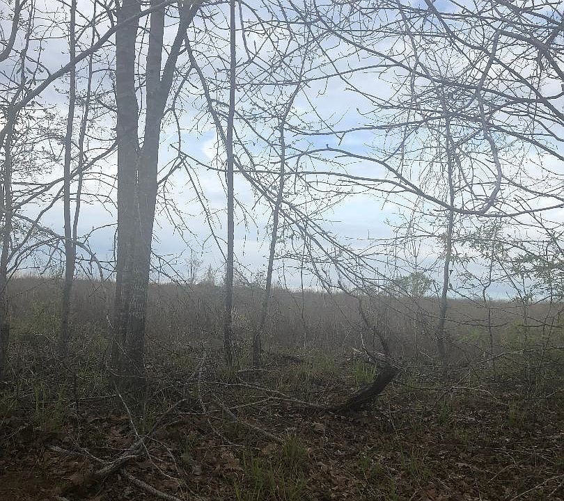 1st image of 0 Crabapple Dr