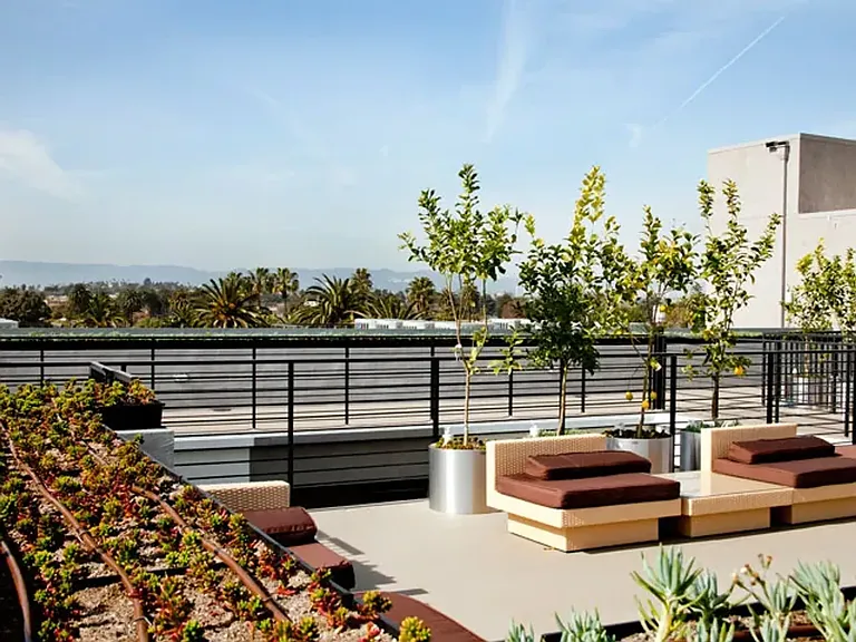 11900 Courtleigh Dr — Photo 12