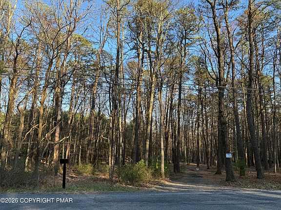 2nd image of Twin Pine Rd #2