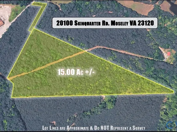 20100 Skinquarter Rd, Moseley, VA 23120