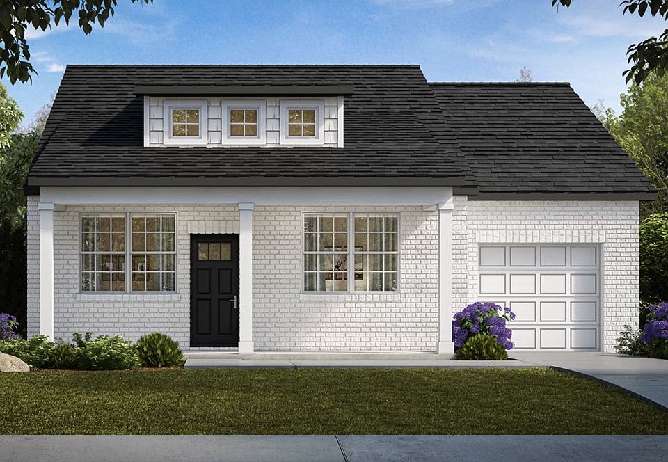Elevation Image 0.