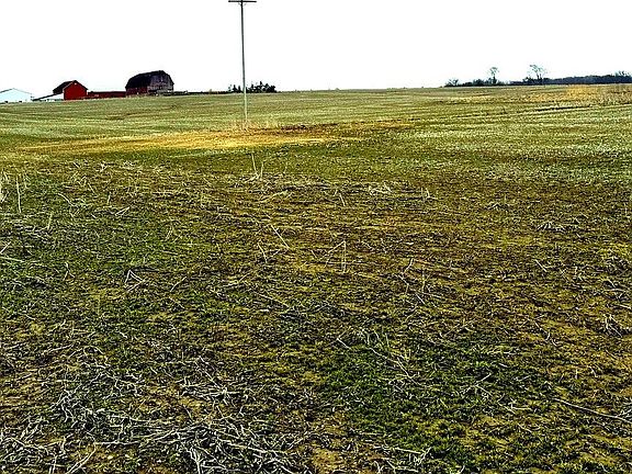 4th image of 0 Sanilac Rd