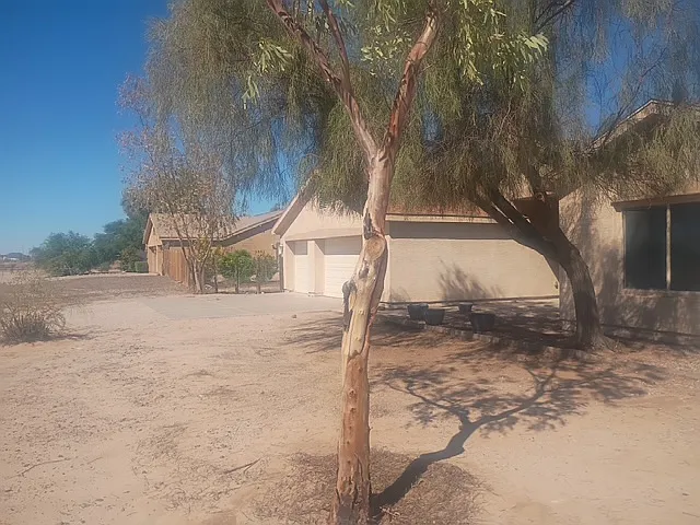 5 bed, 2080 sqft, $2,499 — Photo 2