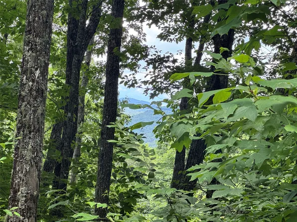 93 Double Branch Trail, Highlands, NC 28741