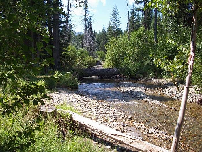 View of creek frontage