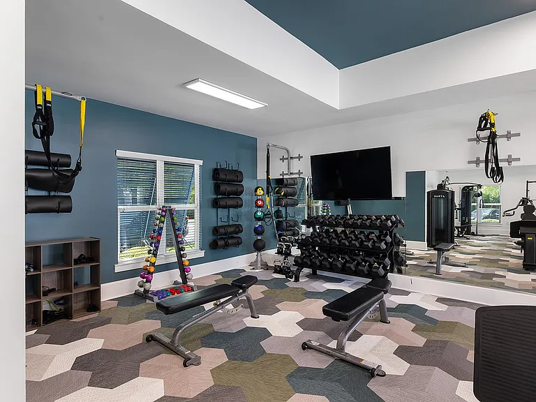The Apartments at Shade Tree