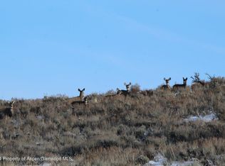 County Road 99, Craig, CO 81625