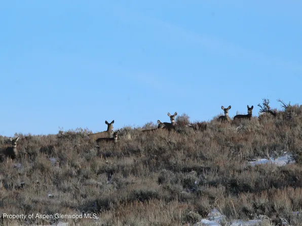 County Road 99, Craig, CO 81625