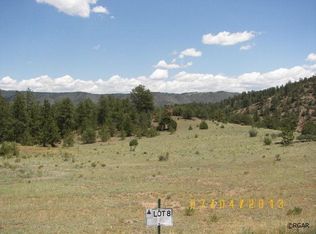 8 View Ln, Guffey, CO 80820