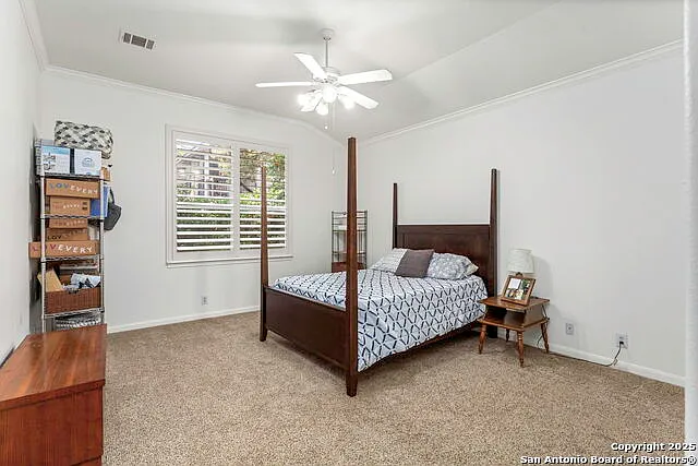 211 Aster Trl — Photo 13