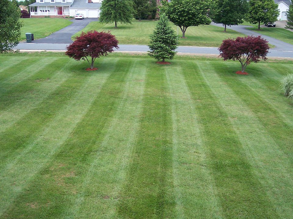 Front lawn