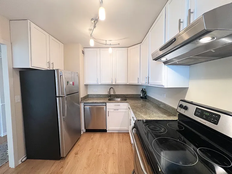 1850 N Clark St #2803 — Photo 9