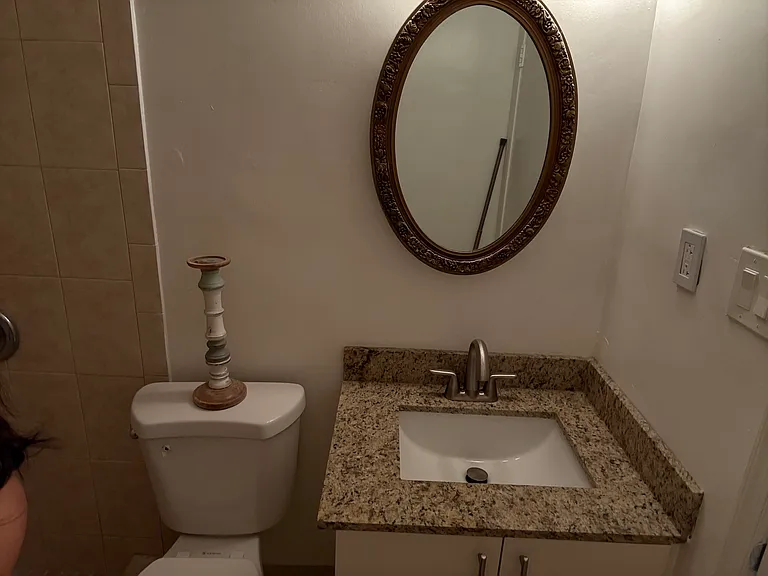 Guest Bath - updated Vanity