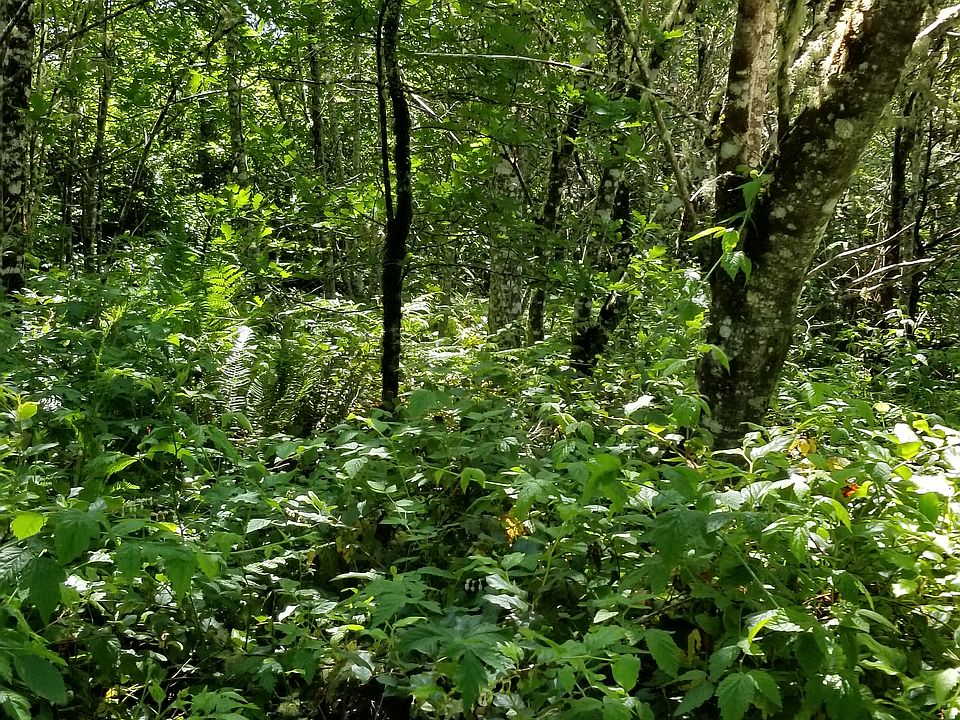 View of the lot area