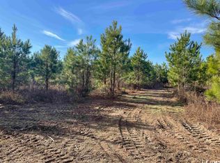 Douglas Swamp Rd, Lynchburg, SC 29080