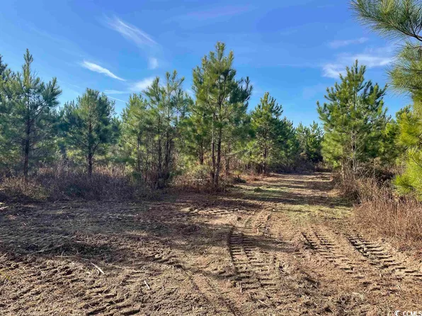  Douglas Swamp Rd., Lynchburg, SC 29080