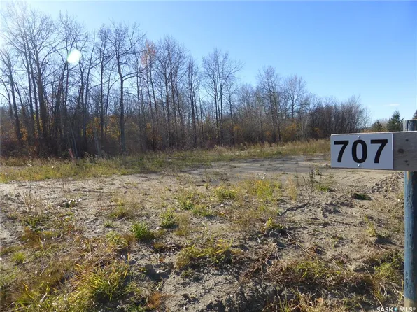 707 Willow BAY, Mervin Rm No.499, SK S0M 0H0
