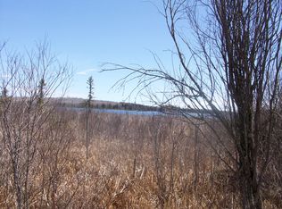 7802 Swan Peterson Rd, Hardwood, MI 49807